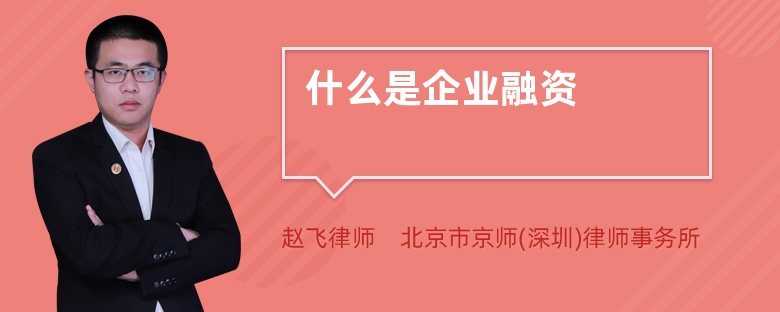 什么是企业融资