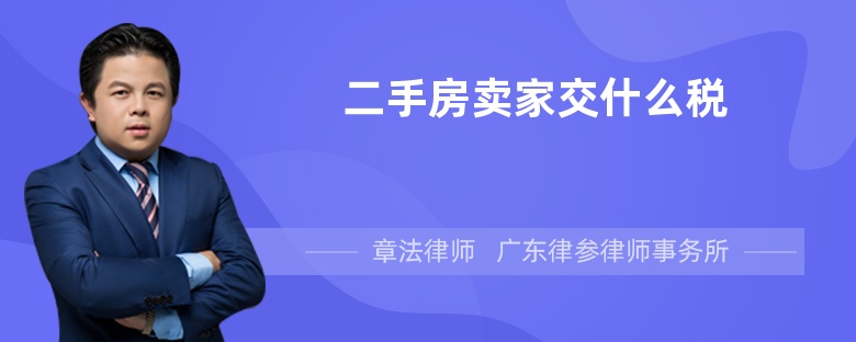 二手房卖家交什么税