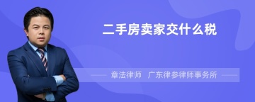 二手房卖家交什么税