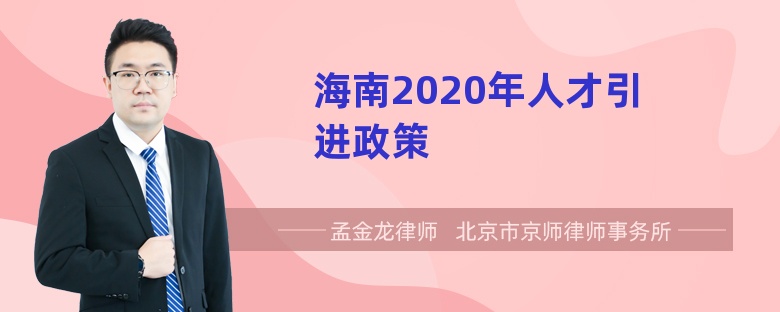 海南2020年人才引进政策