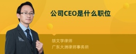 公司CEO是什么职位