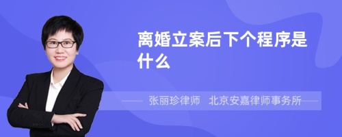 离婚立案后下个程序是什么