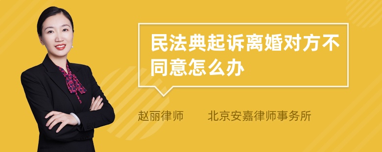 民法典起诉离婚对方不同意怎么办