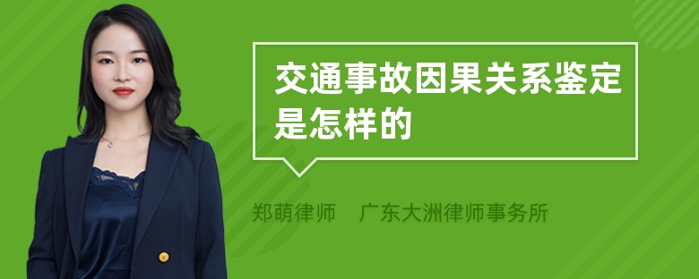 交通事故因果关系鉴定是怎样的