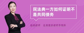 民法典一方如何证明不是共同债务