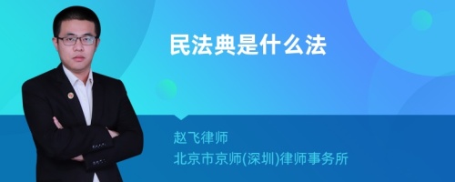 民法典是什么法