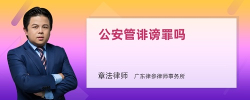 公安管诽谤罪吗