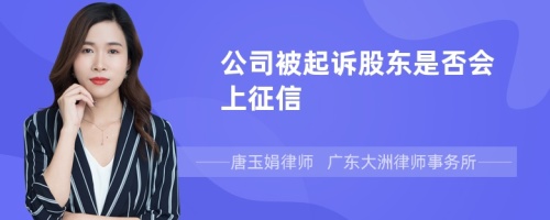 公司被起诉股东是否会上征信