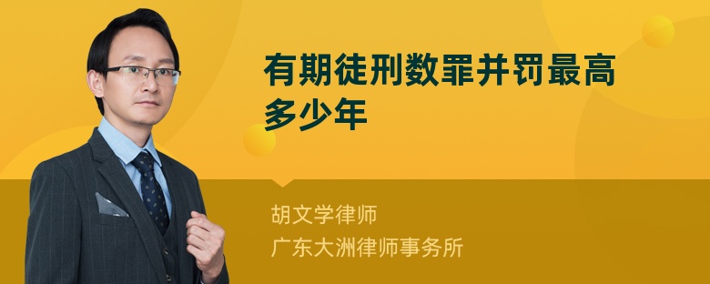 有期徒刑数罪并罚最高多少年