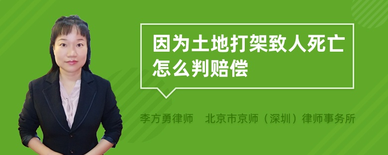 因为土地打架致人死亡怎么判赔偿