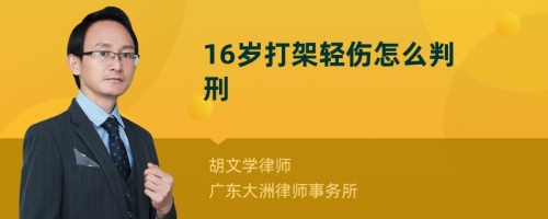 16岁打架轻伤怎么判刑