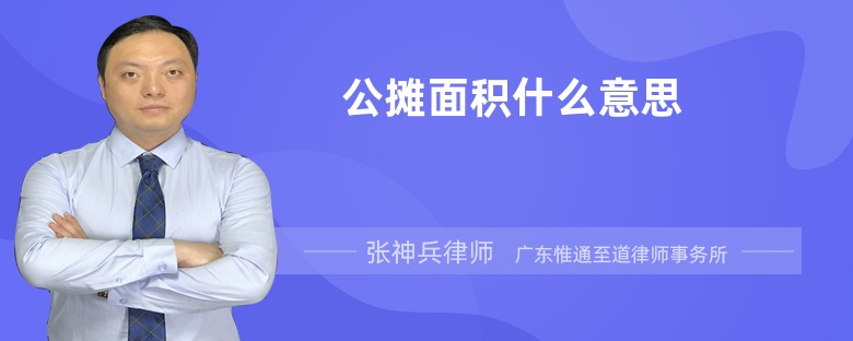 公摊面积什么意思