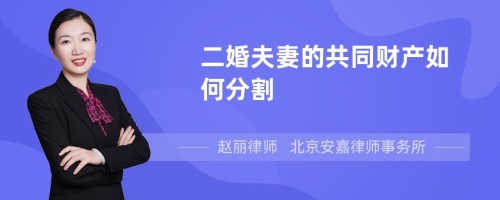 二婚夫妻的共同财产如何分割