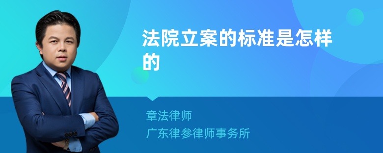 法院立案的标准是怎样的