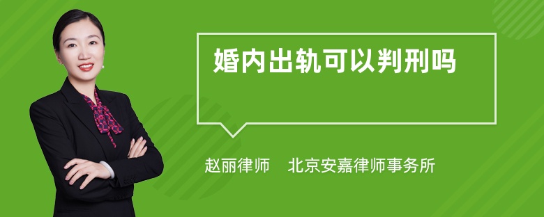 婚内出轨可以判刑吗