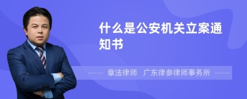 什么是公安机关立案通知书