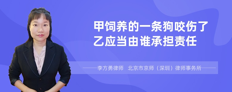 甲饲养的一条狗咬伤了乙应当由谁承担责任