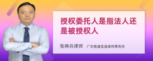 授权委托人是指法人还是被授权人