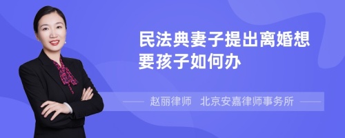 民法典妻子提出离婚想要孩子如何办