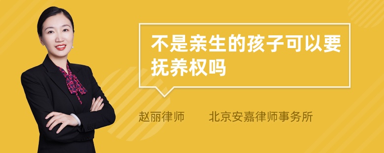 不是亲生的孩子可以要抚养权吗