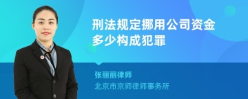 刑法规定挪用公司资金多少构成犯罪