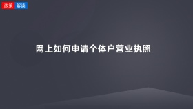 网上如何申请个体户营业执照