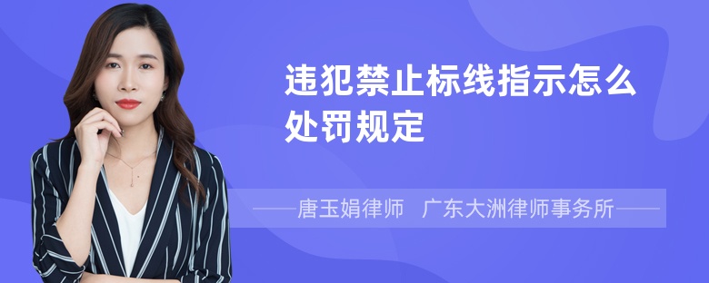 违犯禁止标线指示怎么处罚规定