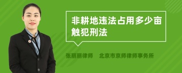 非耕地违法占用多少亩触犯刑法
