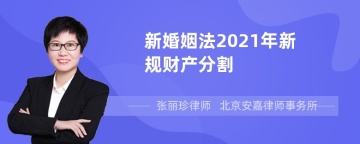 新婚姻法2022年新规财产分割