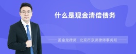 什么是现金清偿债务