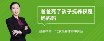 爸爸死了孩子抚养权是妈妈吗