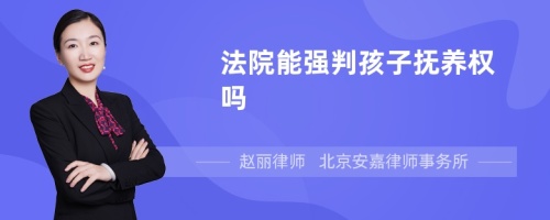 法院能强判孩子抚养权吗