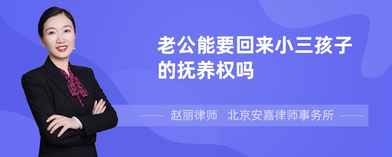 老公能要回来小三孩子的抚养权吗