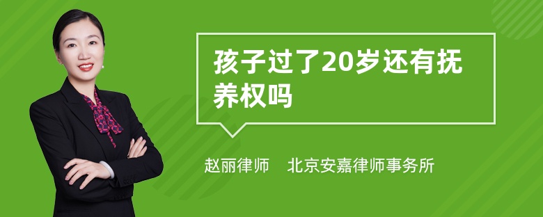 孩子过了20岁还有抚养权吗