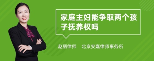 家庭主妇能争取两个孩子抚养权吗