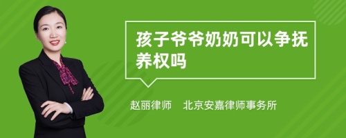 孩子爷爷奶奶可以争抚养权吗