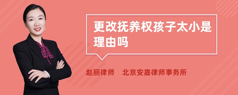 更改抚养权孩子太小是理由吗