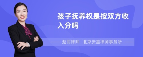 孩子抚养权是按双方收入分吗