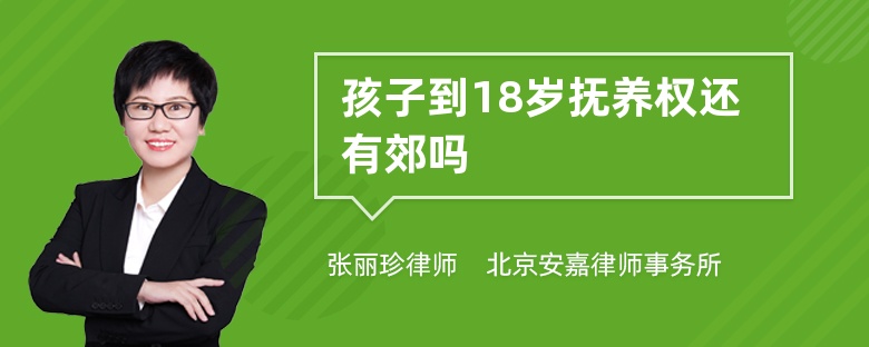 孩子到18岁抚养权还有郊吗