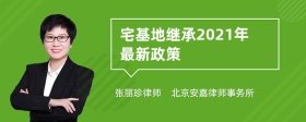 宅基地继承2021年最新政策