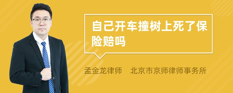 自己开车撞树上死了保险赔吗