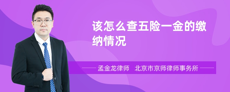 该怎么查五险一金的缴纳情况