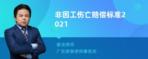 非因工伤亡赔偿标准2021