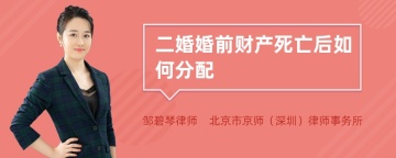 二婚婚前财产死亡后如何分配