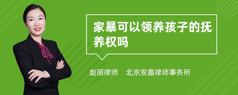 家暴可以领养孩子的抚养权吗