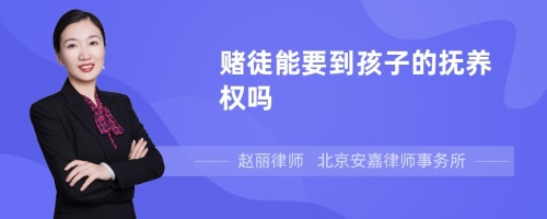 赌徒能要到孩子的抚养权吗