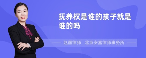 抚养权是谁的孩子就是谁的吗