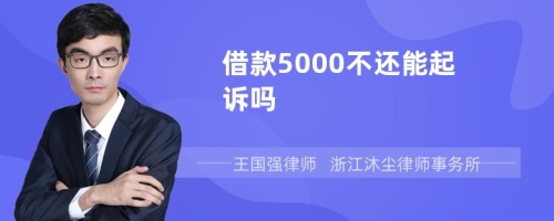 借款5000不还能起诉吗