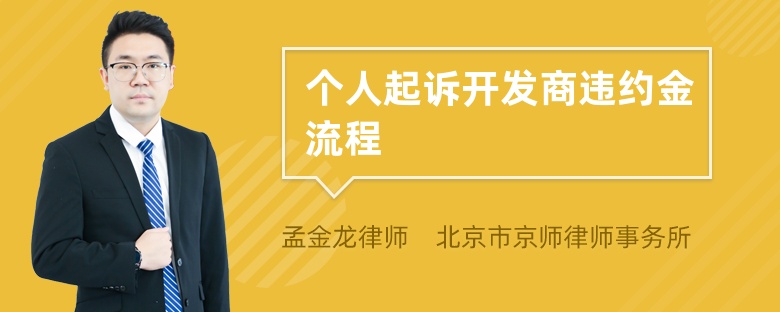 个人起诉开发商违约金流程