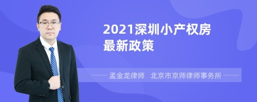 2021深圳小产权房最新政策